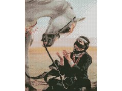 Набор для творчества алмазная картина В пустыне с лошадью Strateg размером 30х40 см (KB038)