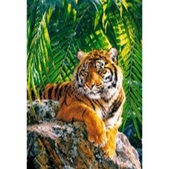 Алмазна мозаїка за номерами 40*50 "Тигр" 70714_BGLE