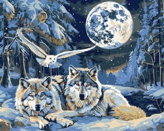 Набір для розпису по номерах Ideyka 