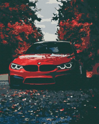 Картина по номерам Riviera Blanca "Красная красавица" 40x50 см 20 цветов (RB-0367)