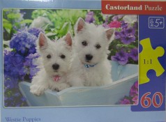 Кастор пазлы 060 