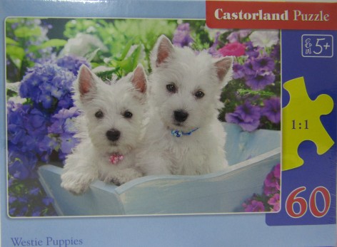 Пазли Castorland 