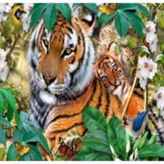 Алмазна мозаїка за номерами 40*50 