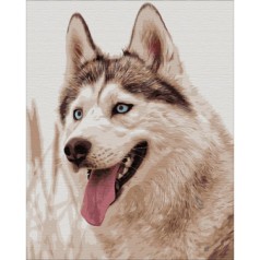 Картина за номерами: Сероманец 40*50 BS51763