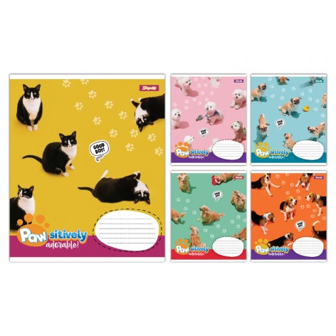 А5/12 кл. 1B Pawsitively, зошит учнівський шкільний, ціна за 25 шт.