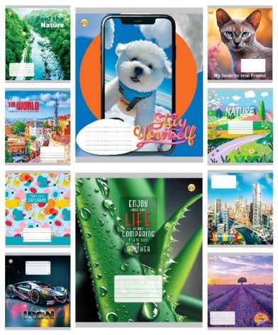 Тетрадь 18 арк.клітинка Тверда ТЕ41201 18КВ2 МІКС, 20 шт. в уп. /400/, 10к.