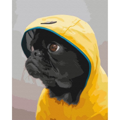 Картина за номерами: Мопс у худі