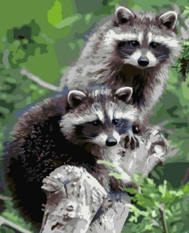 Набор для росписи по номерам Еноты на ветке Strateg размером 40х50 см (HH008)