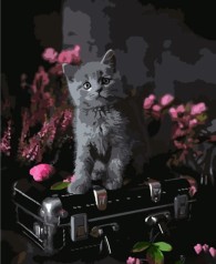 Набір для розпису по номерах Сіре кошеня у квітах Strateg розміром 40х50 см (HH033)