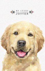 Блокнот, 60г, 7БЦ, 105x165 мм, 64 аркуша, клітинка, Матова ламінація 19372