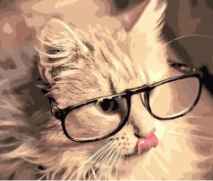 Набір для розпису по номерах Розумний котик Strateg розміром 40х50 см (DY184)