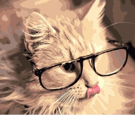 Набір для розпису по номерах Розумний котик Strateg розміром 40х50 см (DY184)