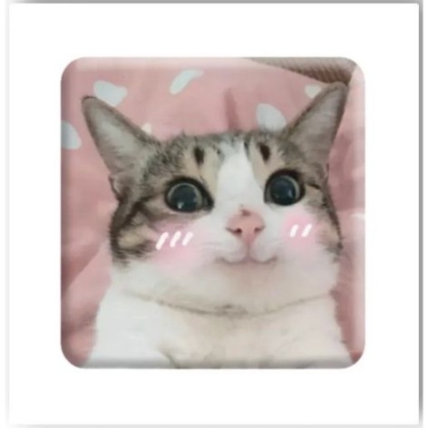 3D-стікер "Мем милий котик"