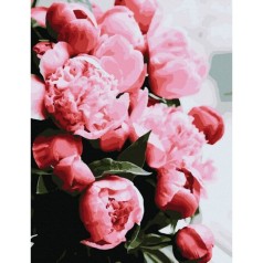 Роспись по номерам Красивые пионы