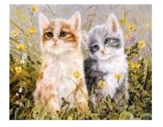 Картина по номерам "Котята в траве" 40*50см, краски акрилловые, кисть-3шт.(1*30)
