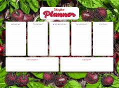 Планер на магнитной основе с алмазной мозаикой Ideyka 