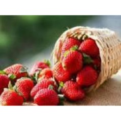 Алмазная мозаика по номерам 30*40 "Клубника" карт уп. (холст на раме)