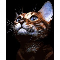 Картина по номерам Рыжий котик Strateg с лаком и уровнем размером 40х50 см (VA-3624)