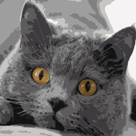 Набір для розпису по номерах Сірий котик Strateg розміром 40х40 см (SK016)