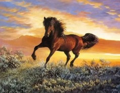 Алмазна мозаїка за номерами 40*50 "Кінь" карт уп. (полотно на рамі)