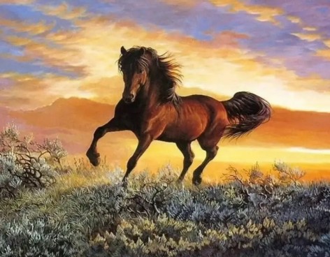 Алмазна мозаїка за номерами 40*50 