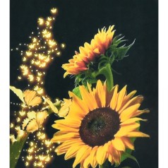 Алмазна мозаїка "Соняхи" 40х50 см