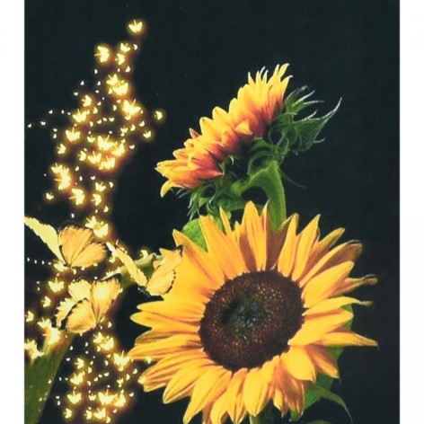 Алмазна мозаїка "Соняхи" 40х50 см