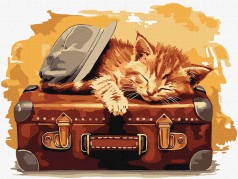 Набор для росписи по номерам 