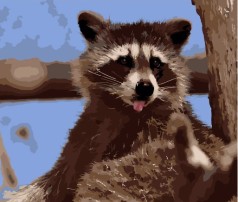 Набор для росписи по номерам Смешной енотик Strateg размером 40х50 см (DY088)