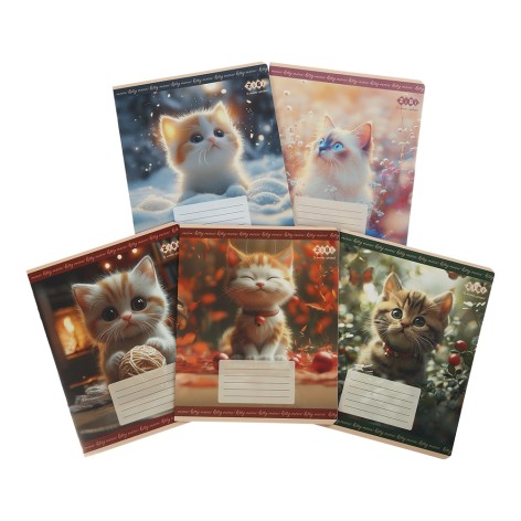 Учнівські зошити Zibi 