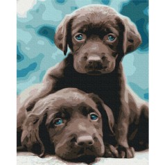 Картина за номерами: Блакитноокі цуценята 40*50 BS53222