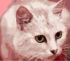 Набор для росписи по номерам Желтоглазый кот Strateg размером 40х50 см (GS1325)