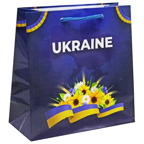 Пакет Патриотический (16х16 см) ВИД 3