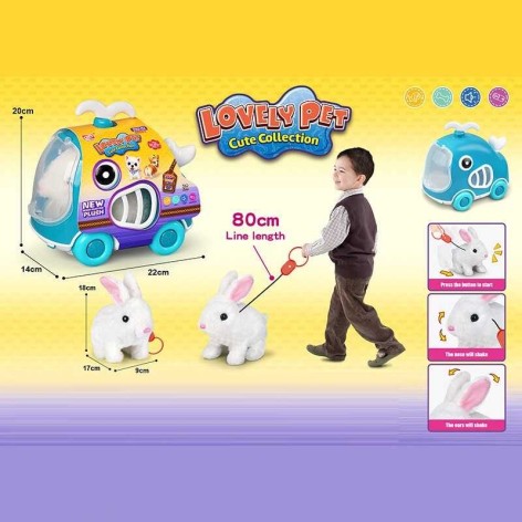 Улюбленець у боксі 