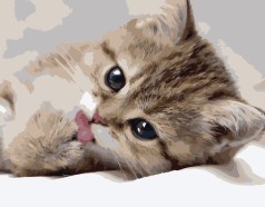 Картина за номерами 