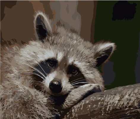 Набор для росписи по номерам Печальный енотик Strateg размером 40х50 см (DY087)