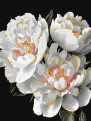 Набор для раскраски по номерам 