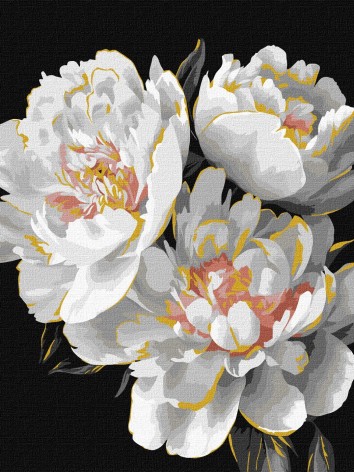 Набор для раскраски по номерам 