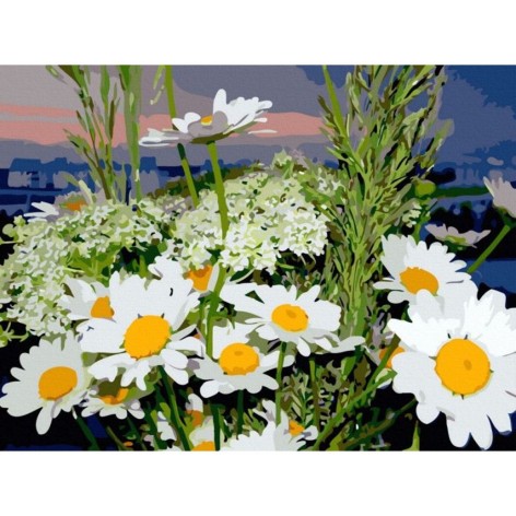 Розпис за номерами Ромашки