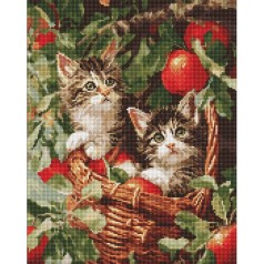 Алмазная мозаика 