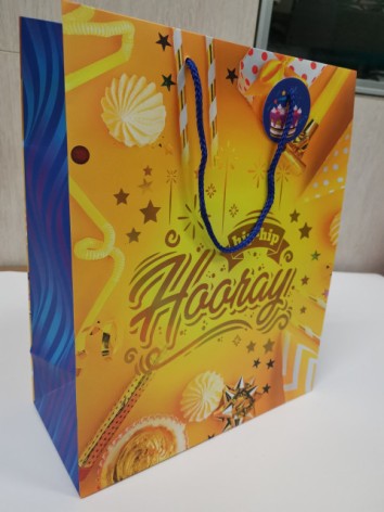 Пакет подарочный бумажный, 26х32х12 см, бумажный мелованный, 140г/м2 + матовая ламинация + золота фольга 5 шт. в уп.