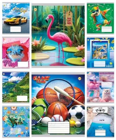 Зошит 24 арк.клітинка Тверда ТА51301 МІКС2, 20/320 ціна за 20 шт.