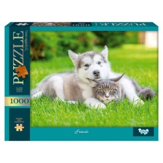Пазлы 1000 эл. с.13 №5 Friends (10) Danko Toys