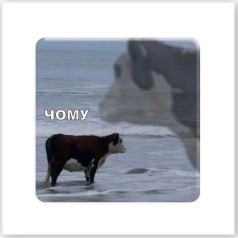 3D-стікер "Чому?"