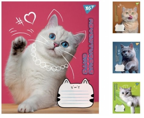 Зошит А5/12 лін. Yes Adventurous cats, зошит учнів. 25шт в уп. //