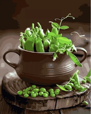 Набор для росписи по номерам Зеленый горошек Strateg размером 40х50 см (GS1314)