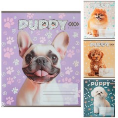 Учнівські зошити Zibi 