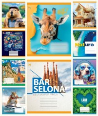 Тетрадь 24 арк.клетка Твердая ТА51302 МИКС3, 20/320 цена за 20 шт.