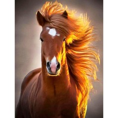 Алмазная мозаика без подрамника 