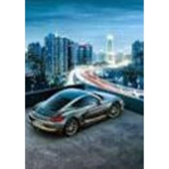 Алмазная мозаика по номерам 30*40 "Спорткар" 62201